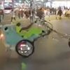 Video: The Pimpest Ride In Union Square Park